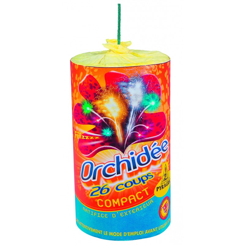 Compact orchidee