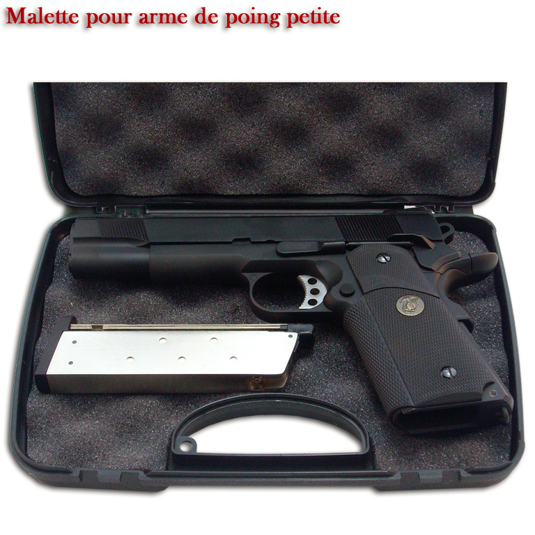 Pistol case 23.5x16x4.6 cm