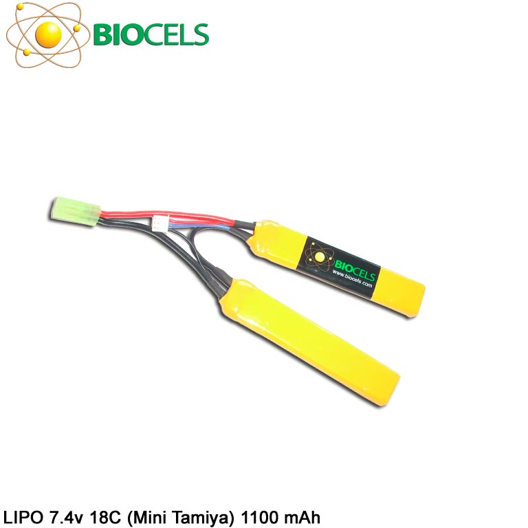 BCS-L006
