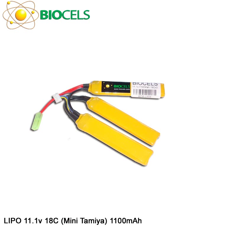 BCS-L009
