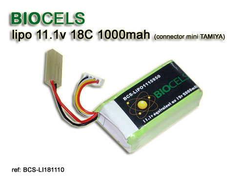 BCS-LI181110