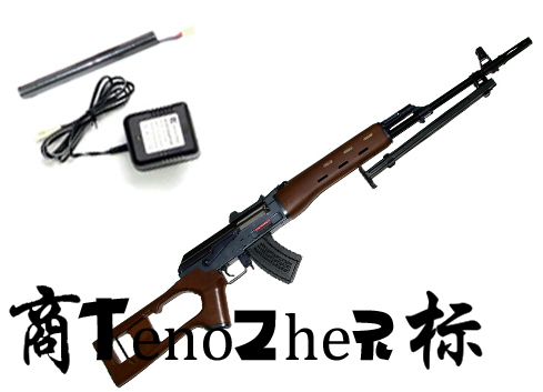 TenoZheR - 300D (Dragunov)  - 6mm